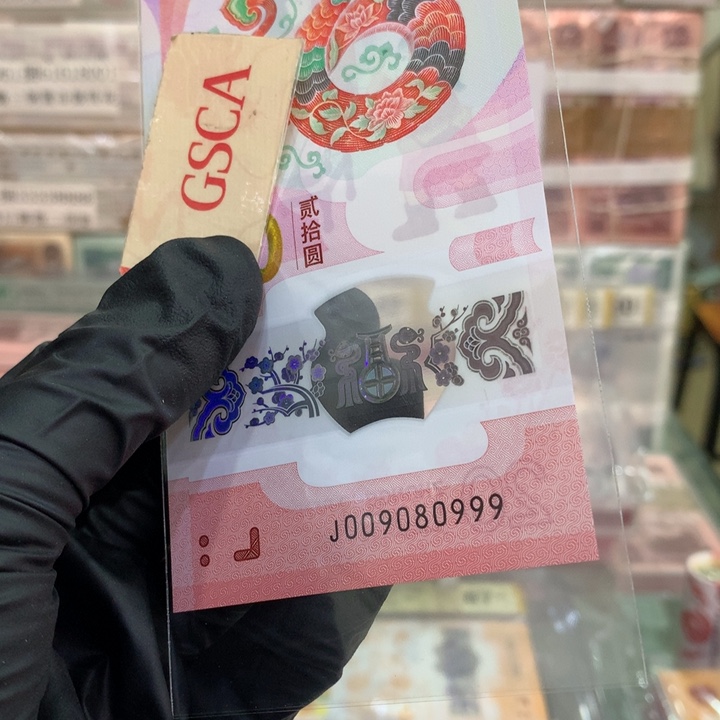 塑料蛇钞圆圆王豹子号009080999