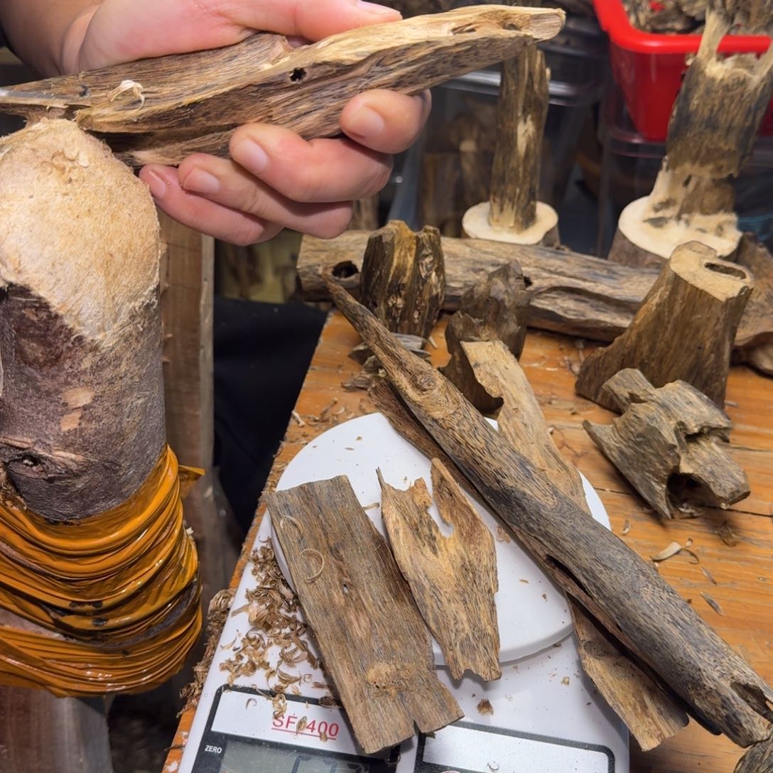 不***搞棋楠沉香白奇块料