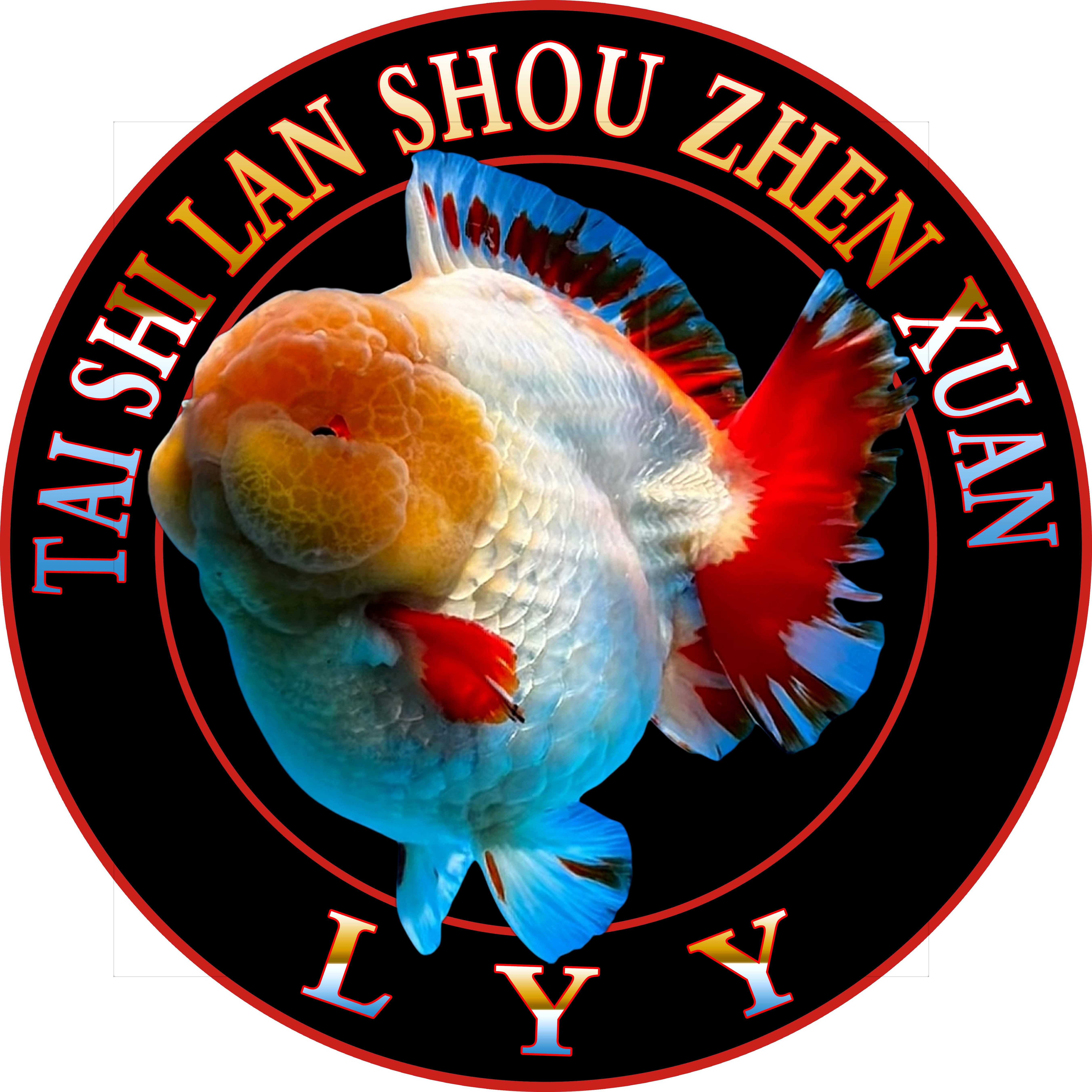 泰狮，兰寿，玛丽，百褶金鱼