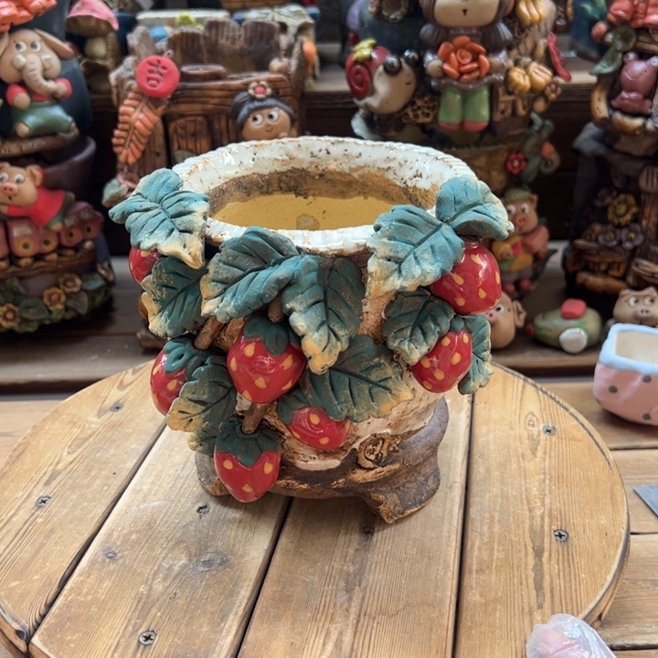 嘻哈多肉花盆百搭