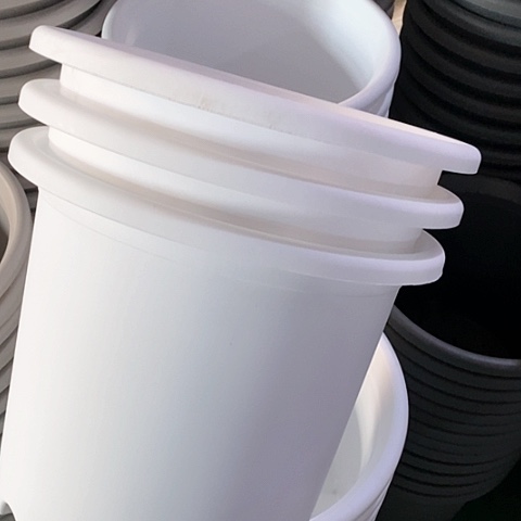 树脂四季6号3个无托白