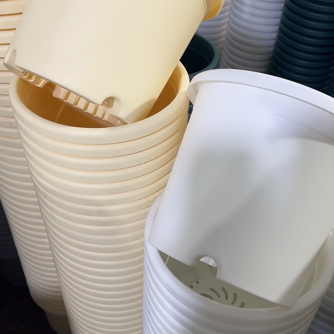 树脂四季4号无托5个白，微瑕