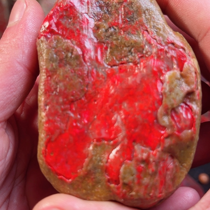 鸡血石昌化鸡血石