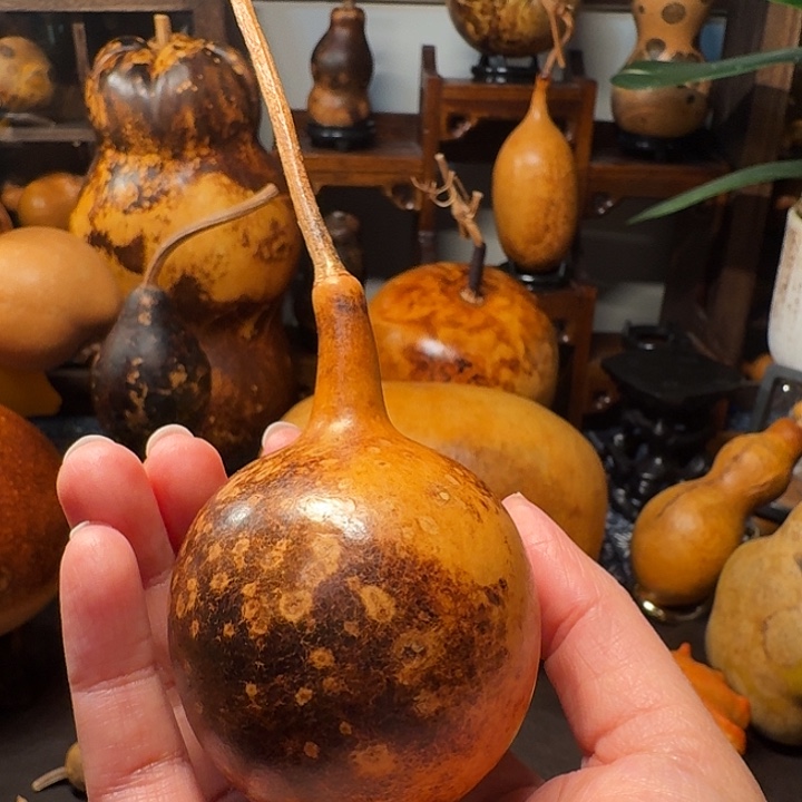 真***诚葫芦葫芦葫芦葫芦