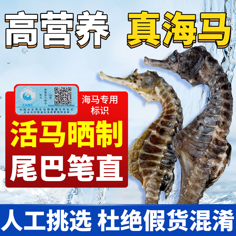 【10cm福利款】海马中药材一公一母搭配天然生晒可炖汤可泡酒