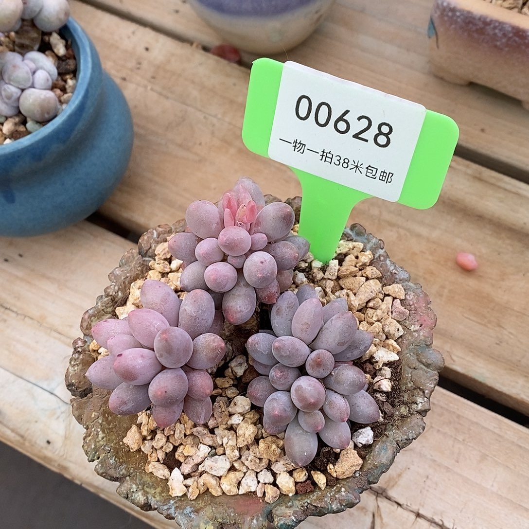 628天今天去咯哦琢磨