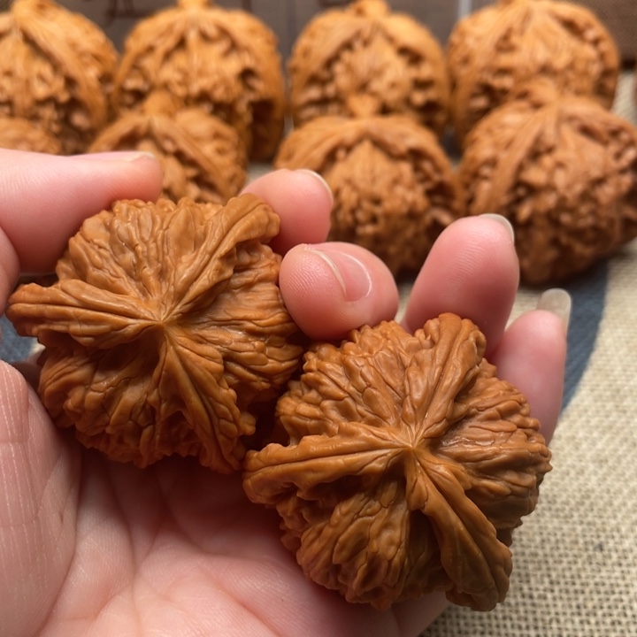 路***过核桃白狮子41核桃