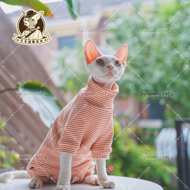 无毛猫事务所秋冬德文猫衣服纯棉加厚德绒阳离子自发热打底四脚衣