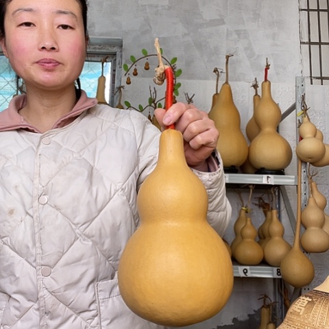 皓*厨天然植物葫芦文玩