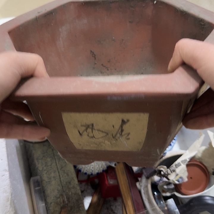 平***哥扇子把h恍恍惚惚不扭扭捏捏那你呢