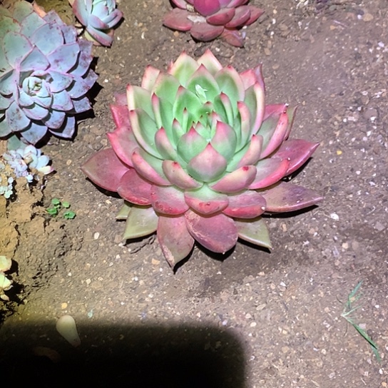 蹲***贝每日特价活动开始了