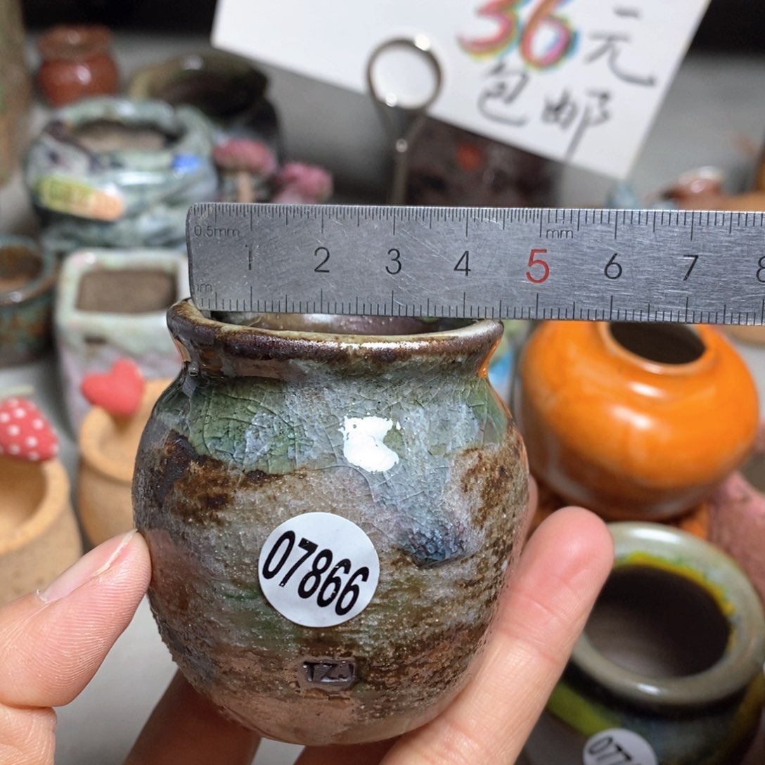 花盆拍5送一个小礼物