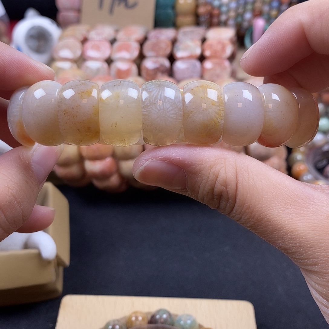 硅化珊瑚（珊瑚玉）未镶嵌手牌 上新 冰透永生 7