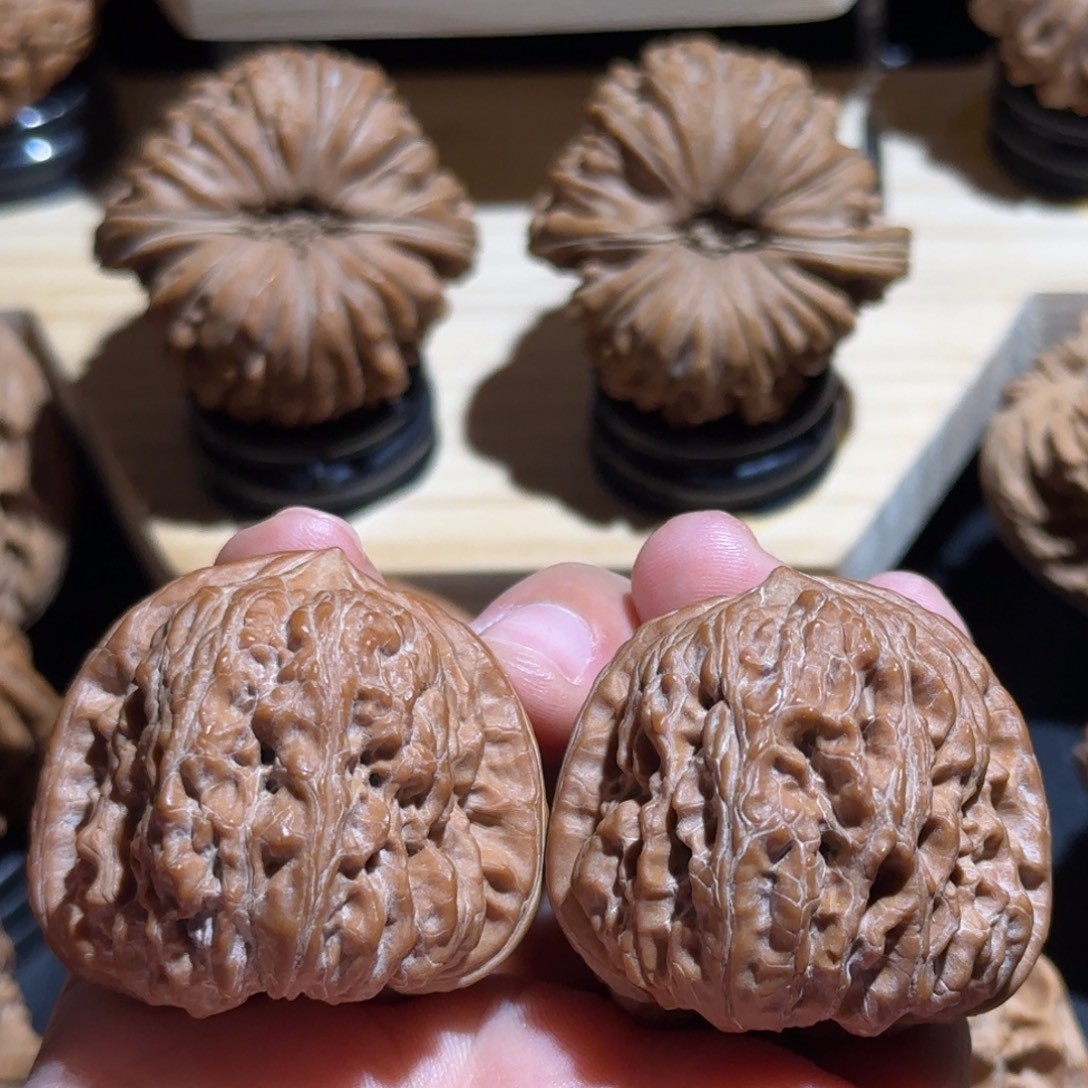 核桃38全品鹰嘴凹底