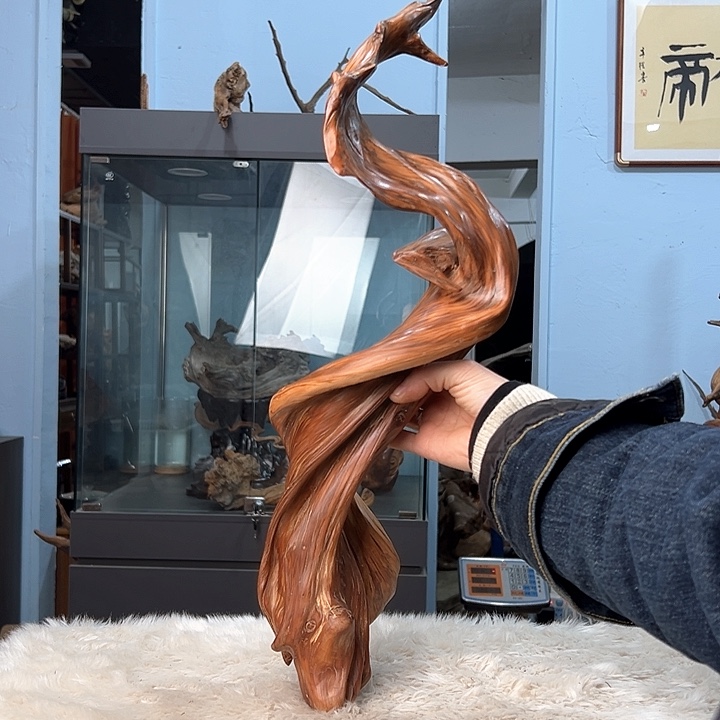 柏木青*我们的生活也是如此的丰富多彩