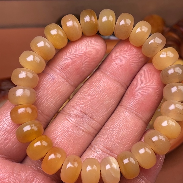 驼骨其他人工养殖