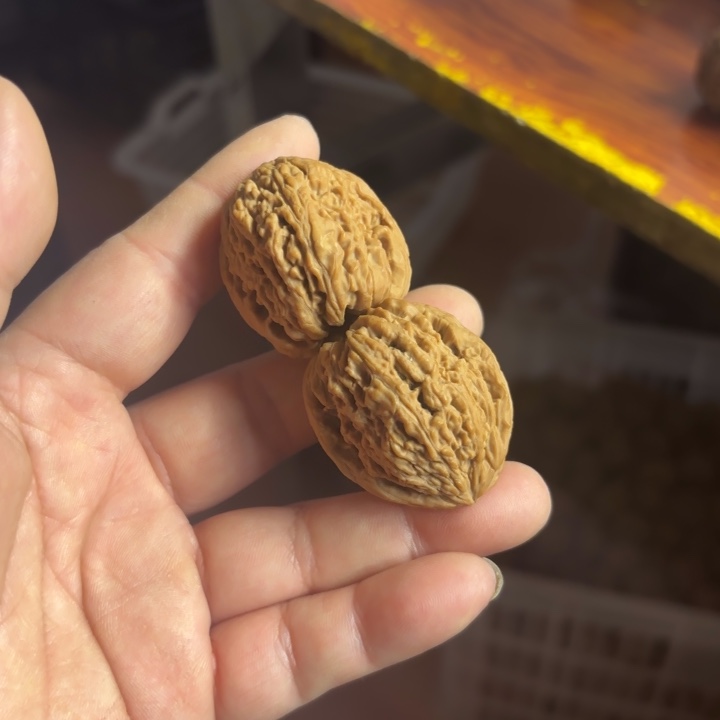 想***米大叶紫檀（黑酸枝木类）