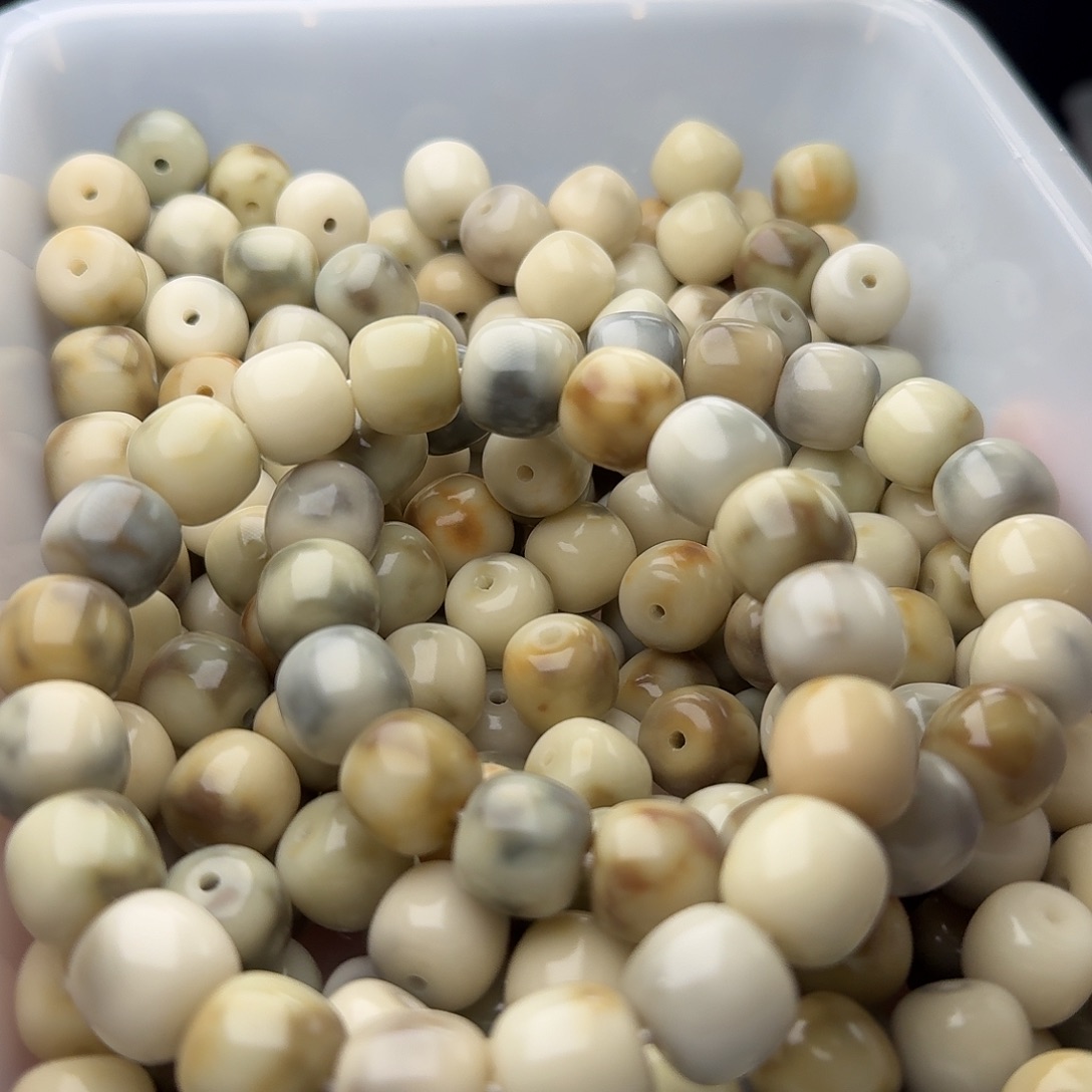吊坠菩提根/象牙果50 颗骨瓷霉豆腐 13 桶