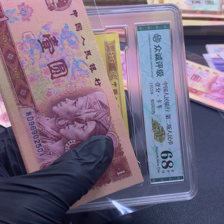 标十黄金龙标十黄金龙501