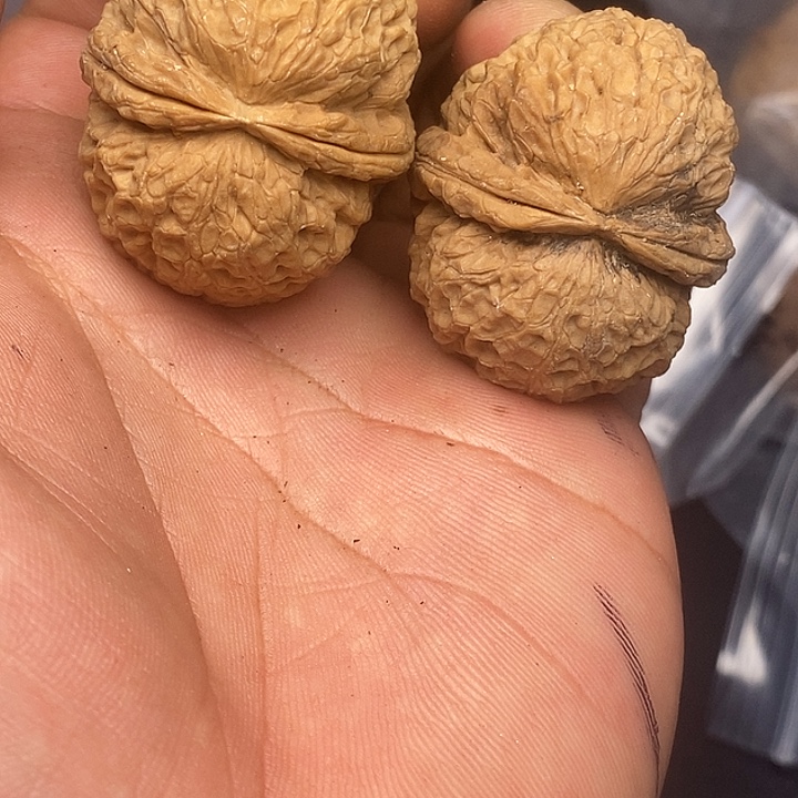 吊坠文玩核桃      111