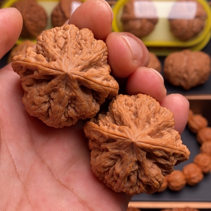 文玩核桃把件龙爪粗筋