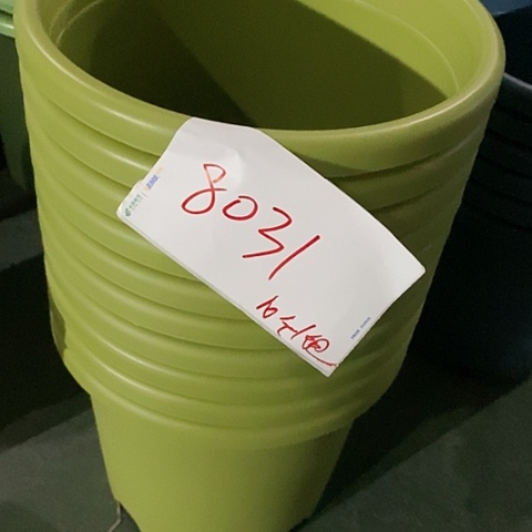 树脂编号编号8031