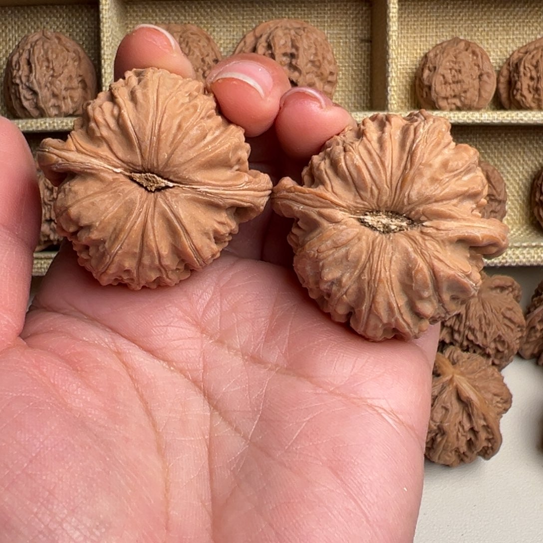 核桃把件巅***Z白狮子002