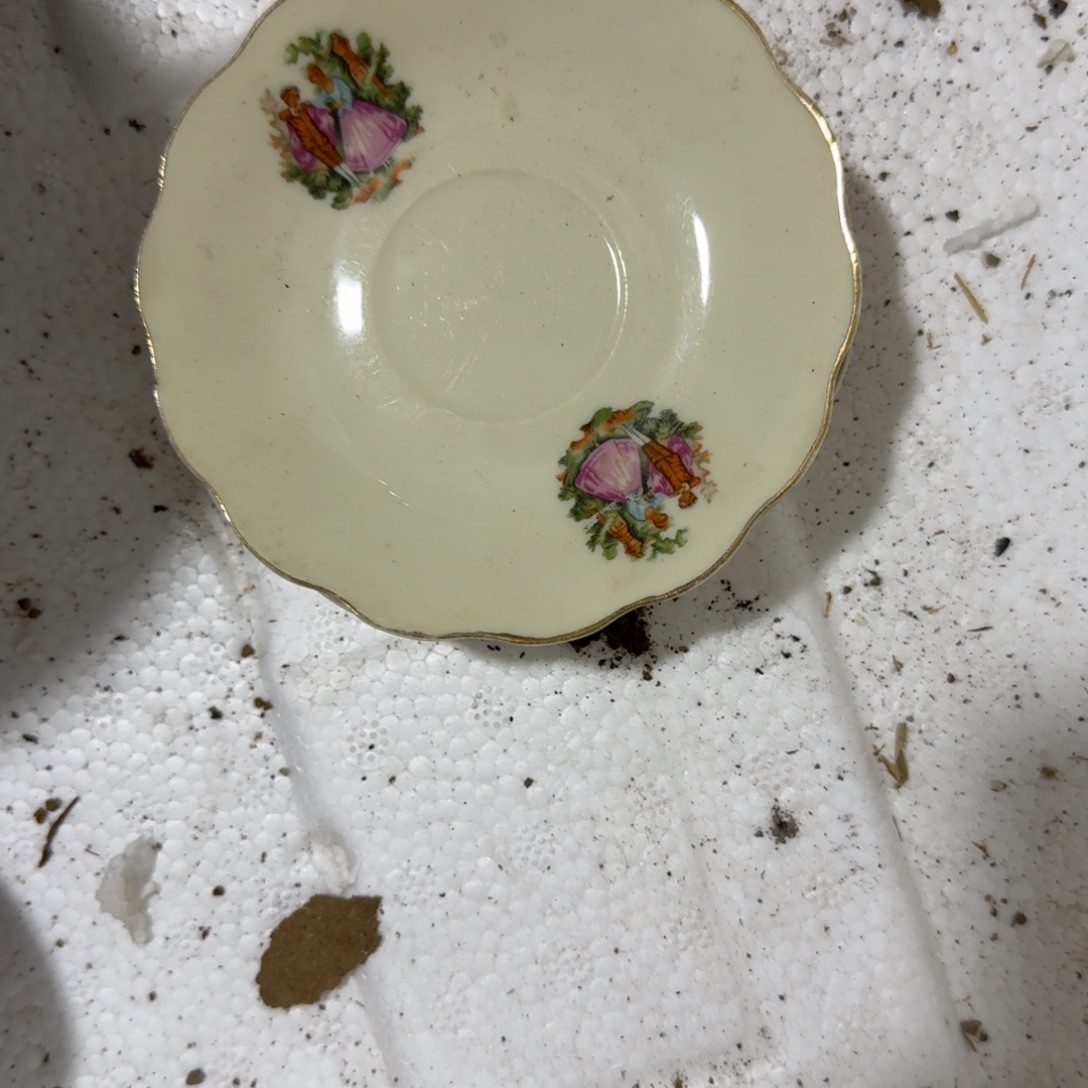 茶盏我们就能成为自己