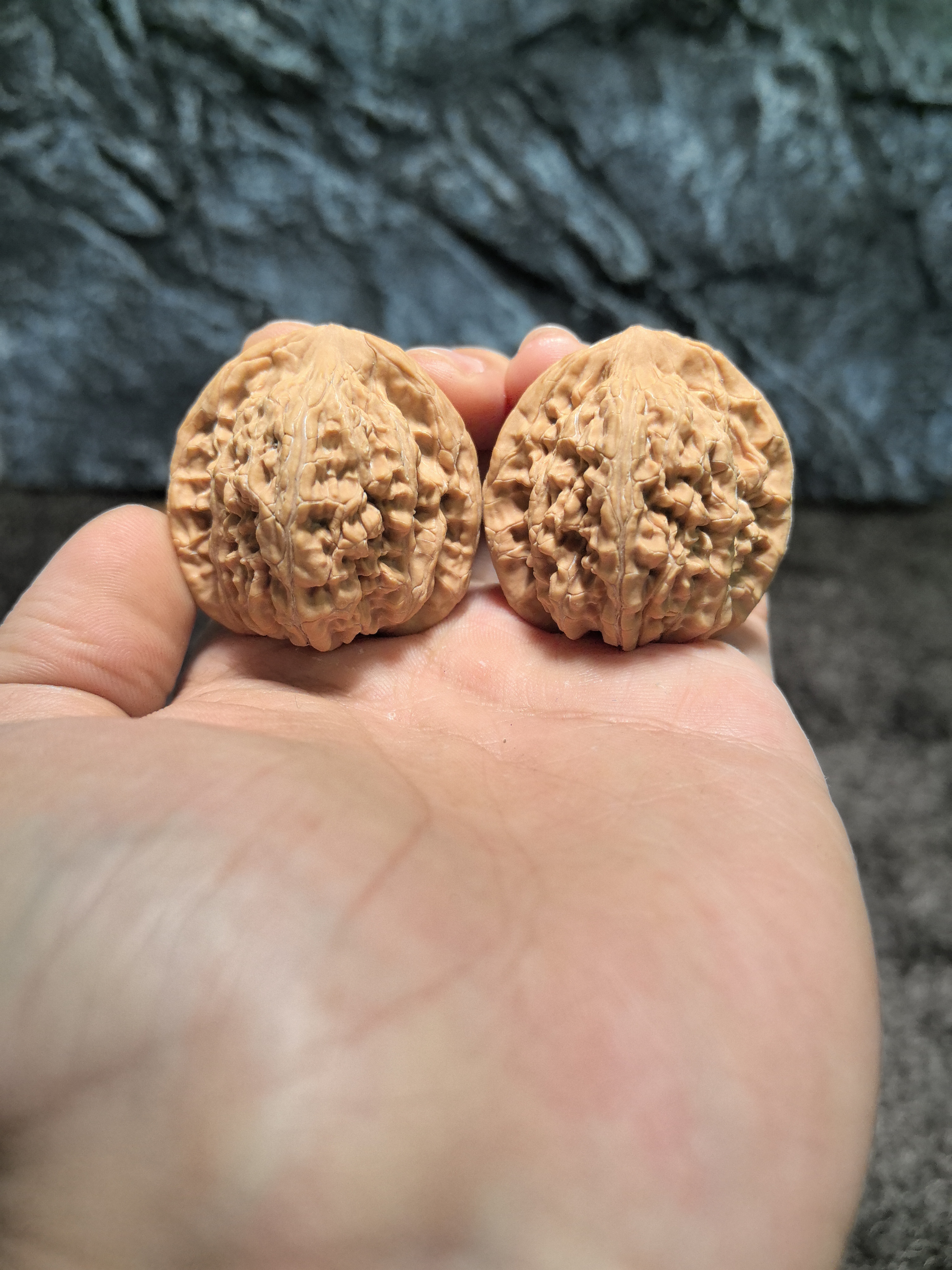 文玩核桃 望月 3521号41尺寸