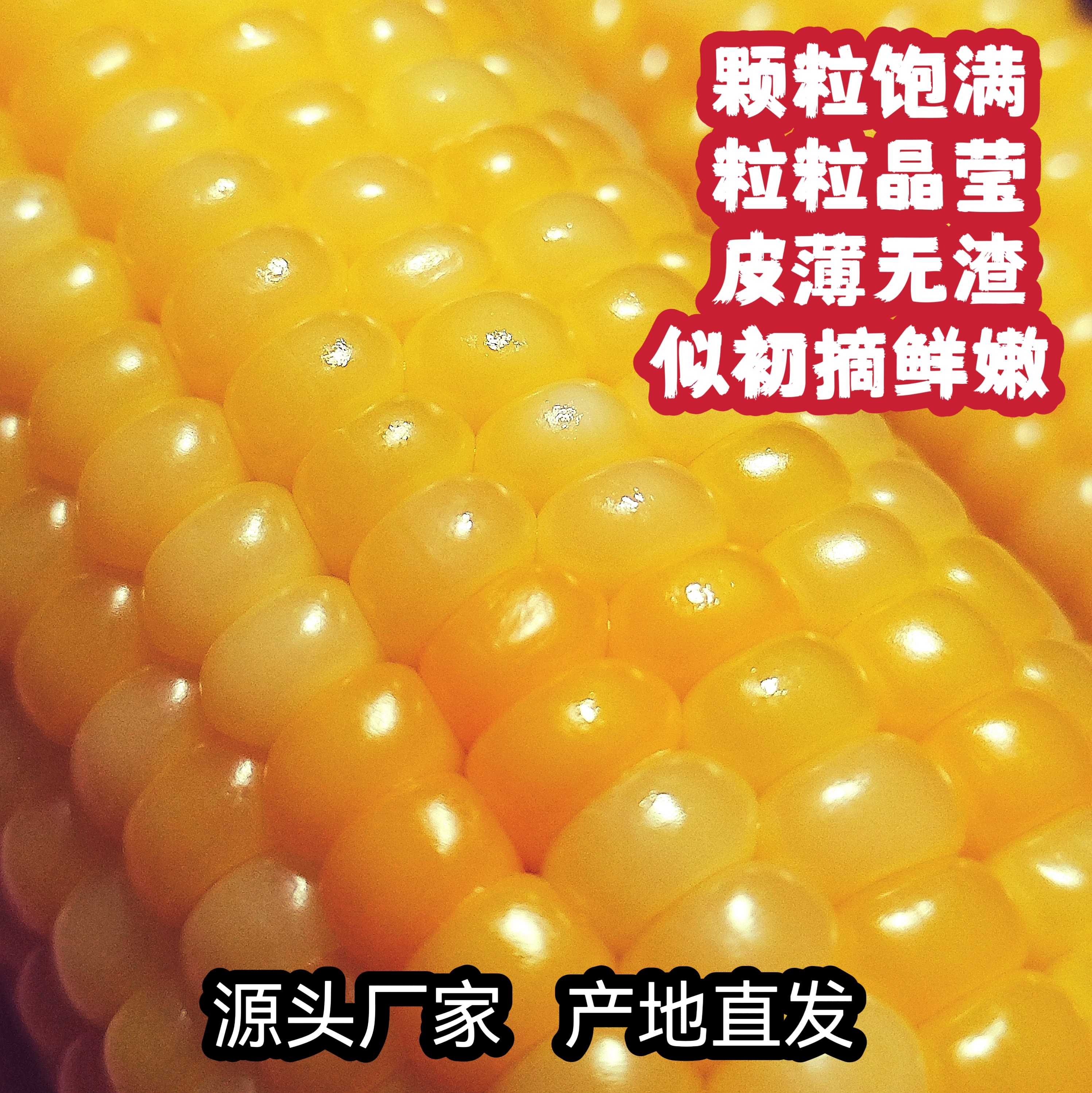 拾月田园锁鲜玉米甜糯糯玉米山地有机玉米软糯香甜10支整箱4斤