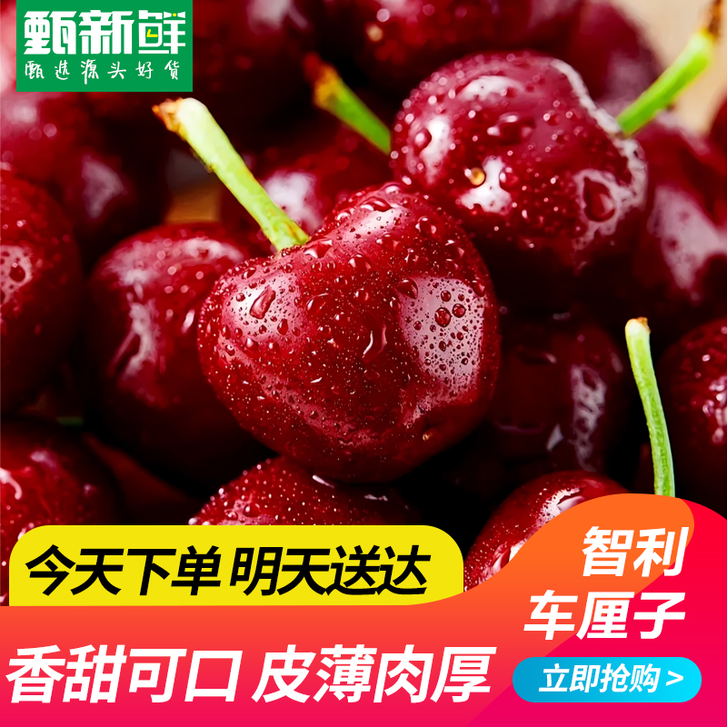 【京东次日达】智利进口空运车厘子JJ/3J/500g/1000g/2500g内附果径卡桑提娜樱桃智利共和国