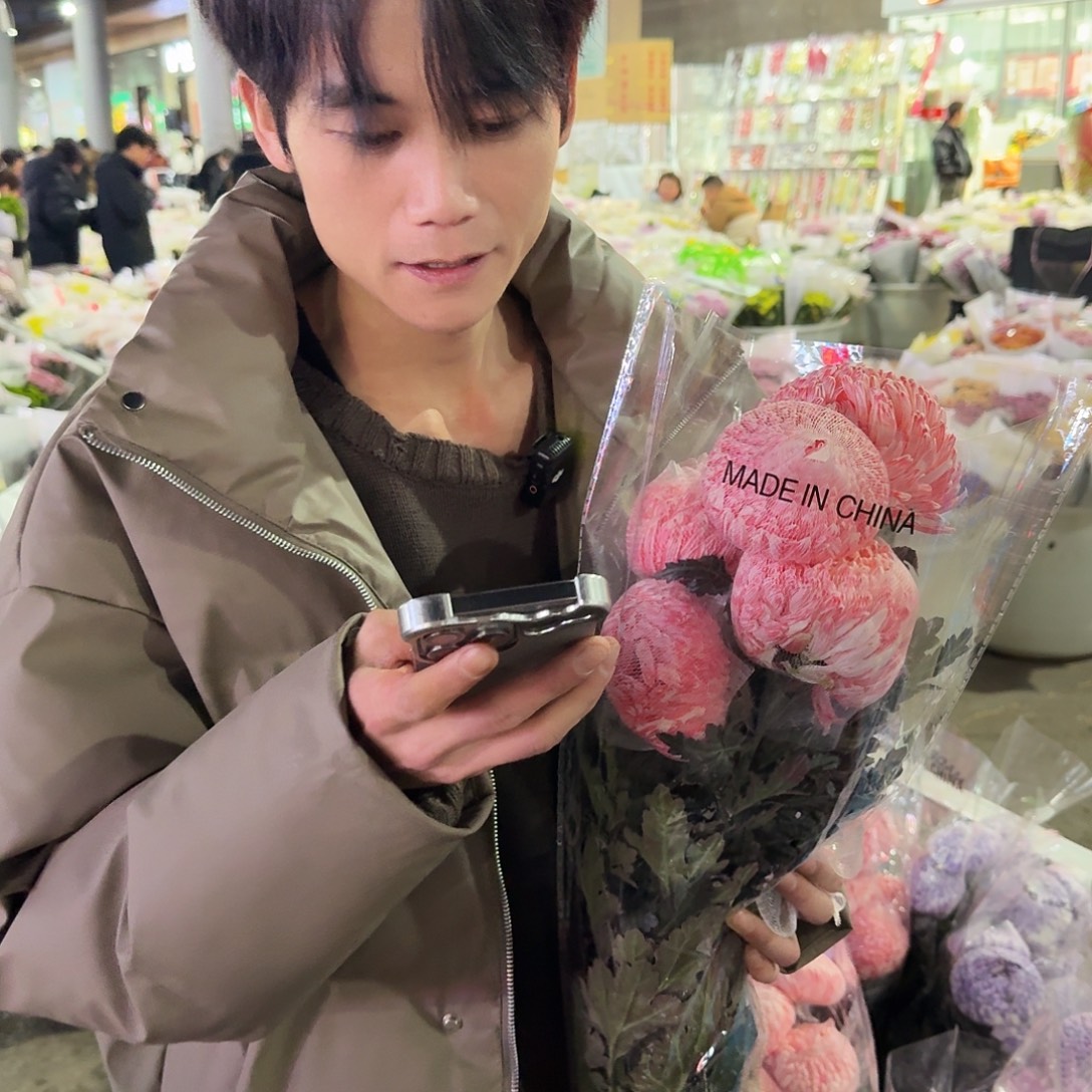 粉色牡丹菊5支高品质