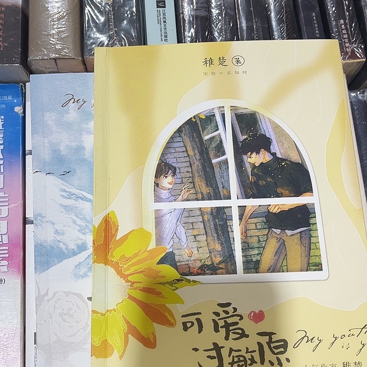 可爱过敏原全新全套两本带周边