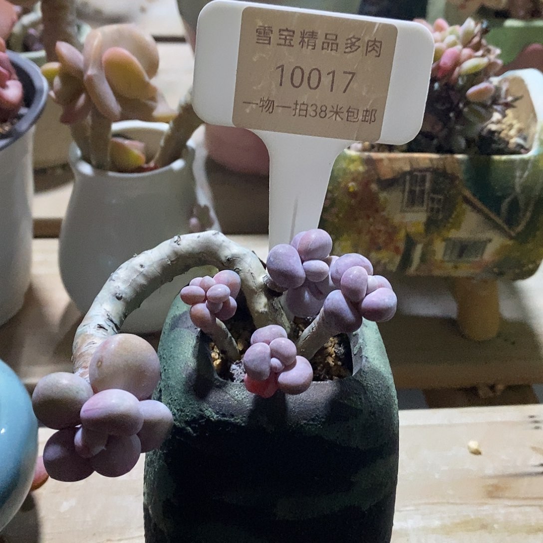 芒***酱10017，boy图哦小雨姐姐