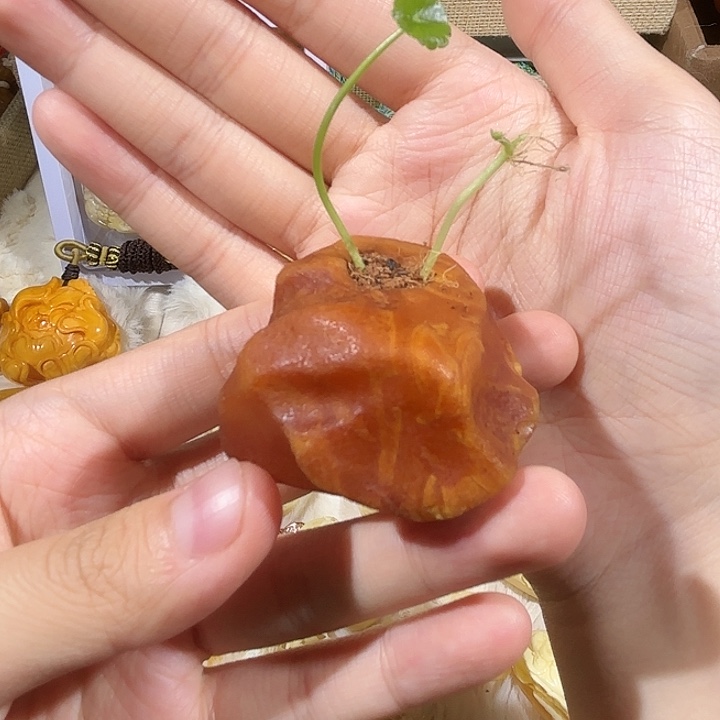 琥珀未镶嵌颈饰蜜蜡全皮小山花瓶