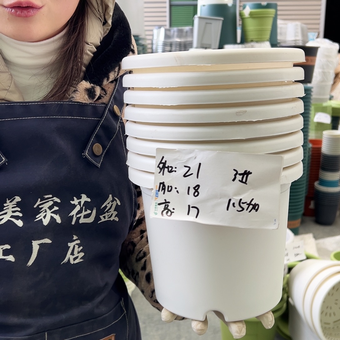 四季盆3#白色10个无托