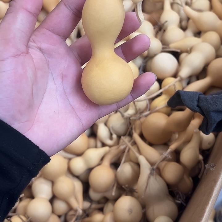 ****家有机玻璃零零落落来了零零落落了