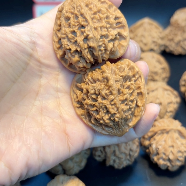 43满天星狮子头有修打底打底