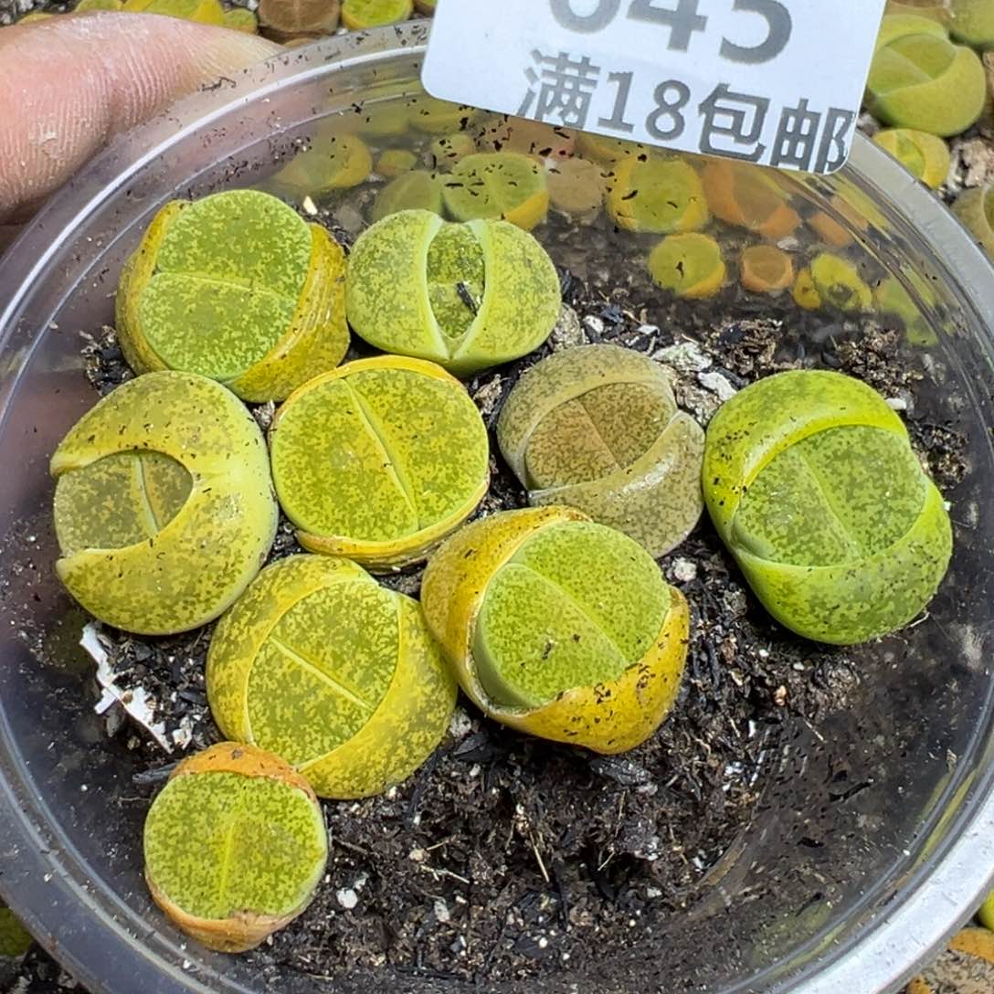 【闪购商品】 645.   