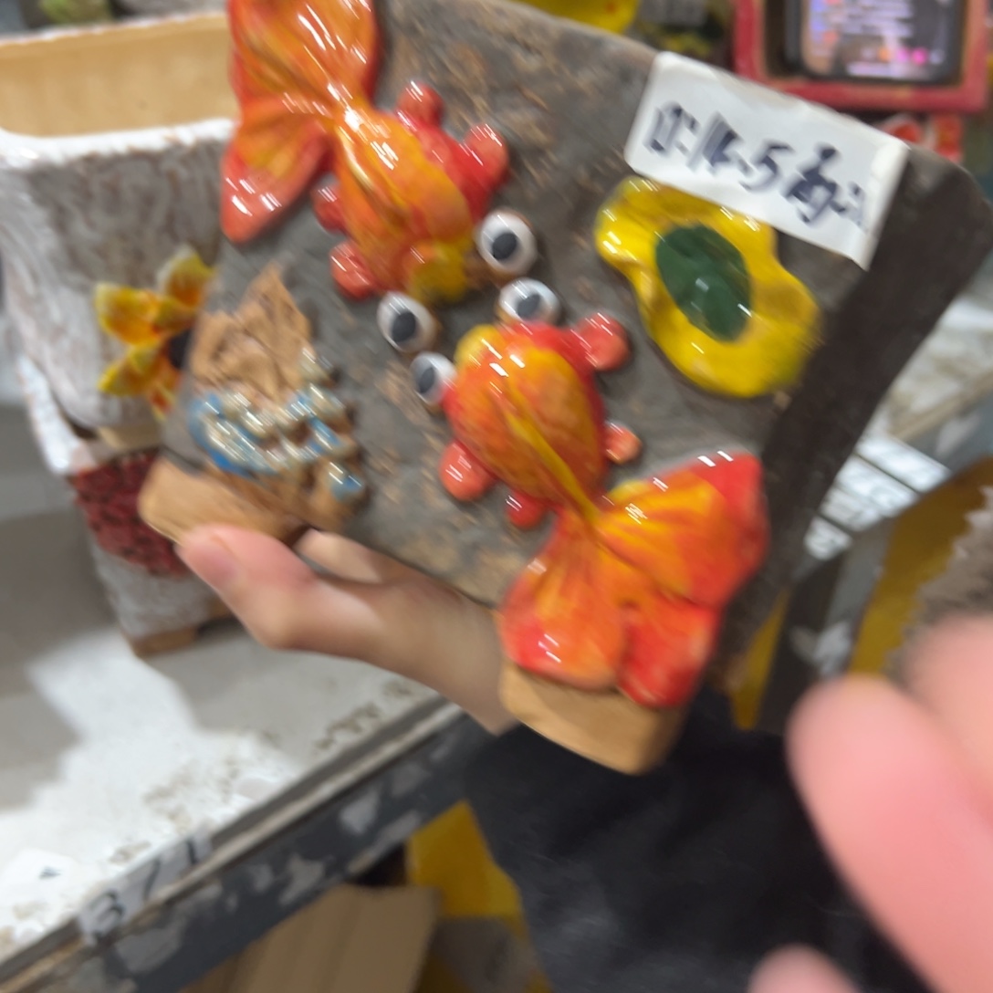 花盆，拍满20发货，退款拉黑