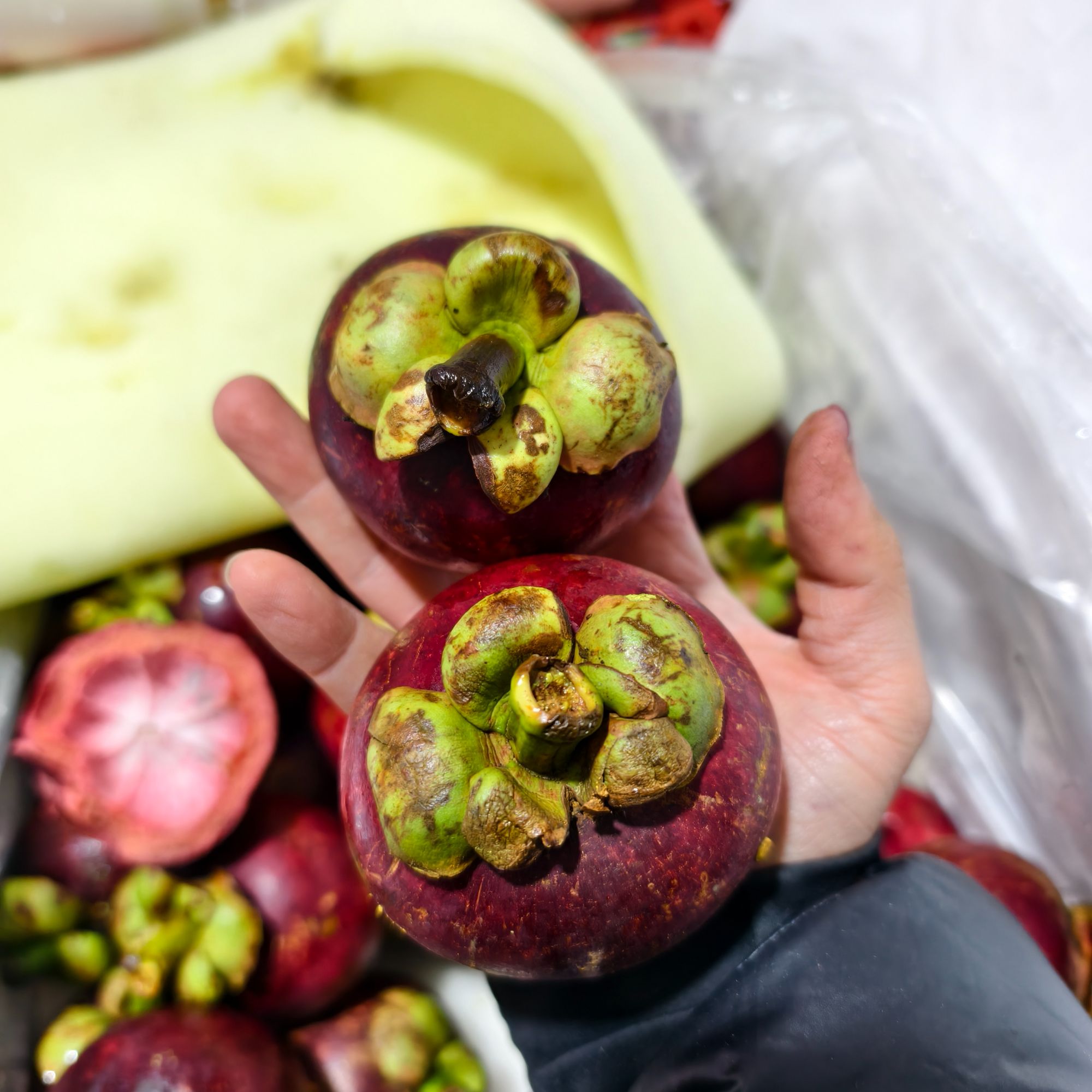 6A超大空运巨无霸印尼山竹3斤/1箱14斤