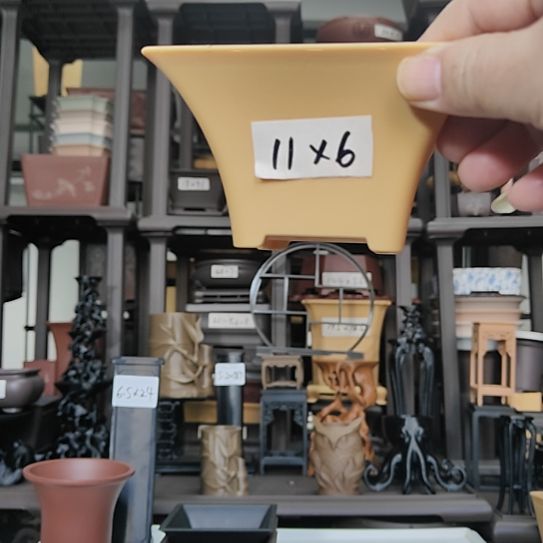 ****哥10只11*6斗笠盆黄色