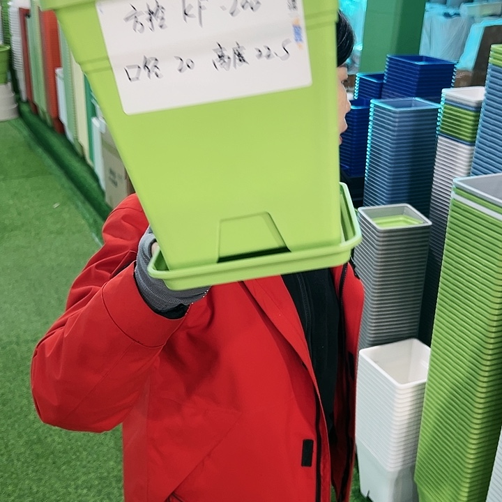 正品方盆口20高22果绿带托6只