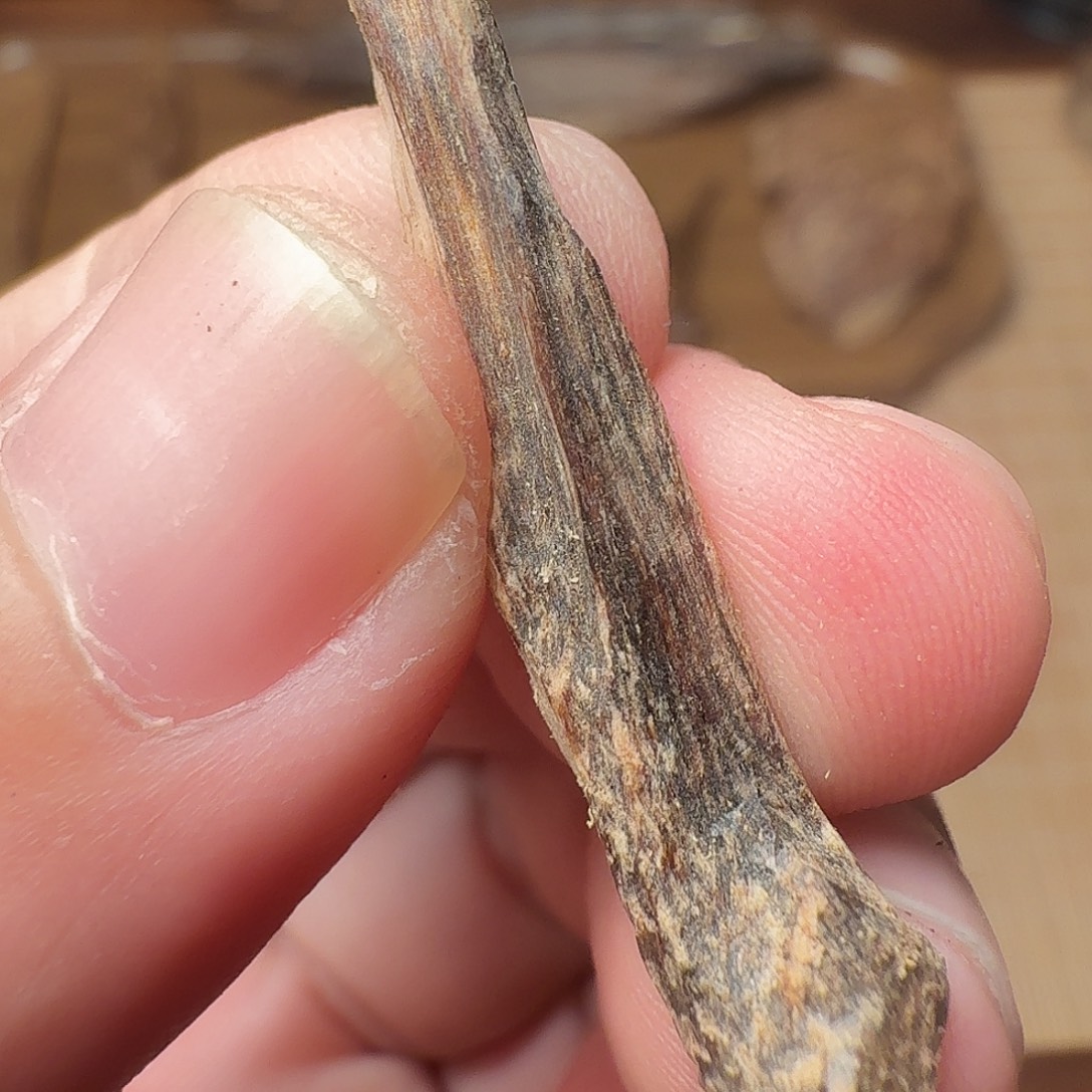 沉香越南芽庄树心油