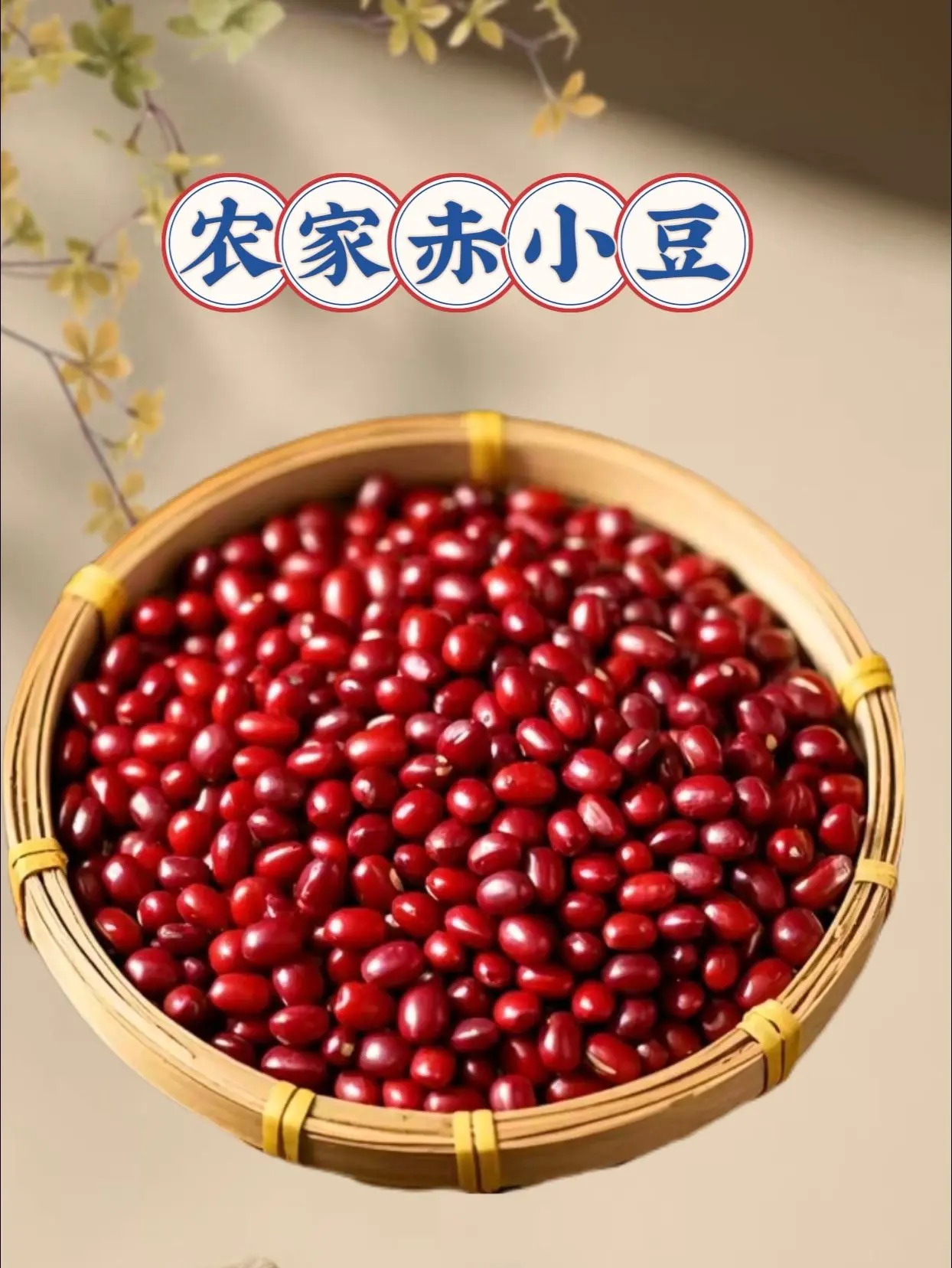 农家新鲜红豆真空包装颗粒饱满500g