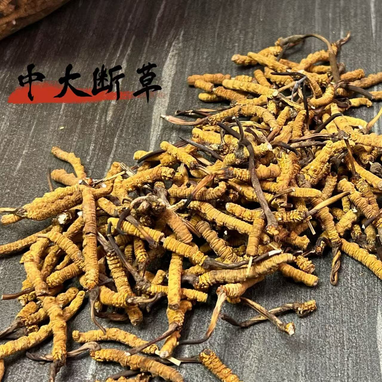 那曲【冬虫夏草】中大断草 2025新干草 自然晒干 品质滋补 实拍图