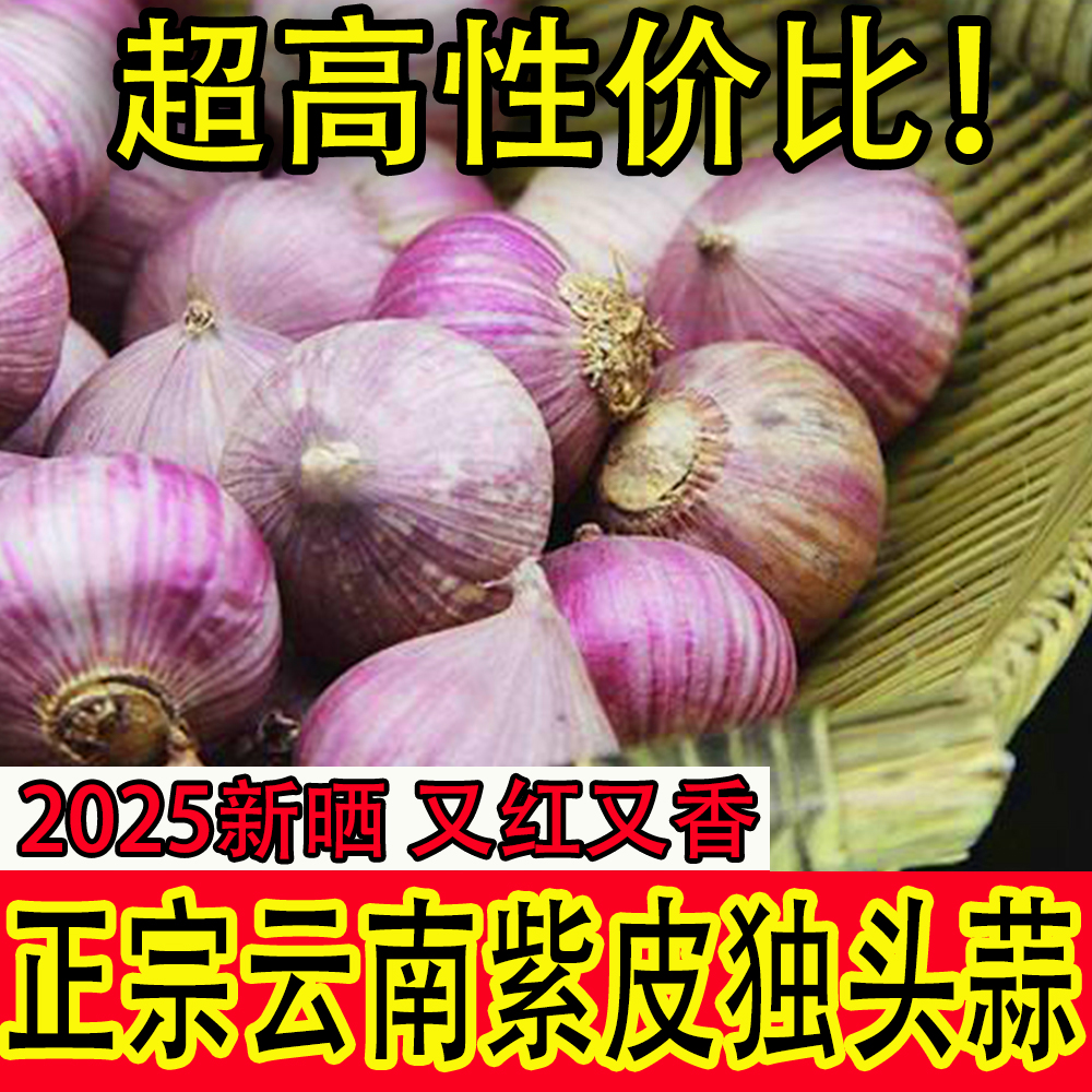 云南正宗紫皮独头蒜农家个大饱满纯干蒜2025年新晒带箱包邮批发2