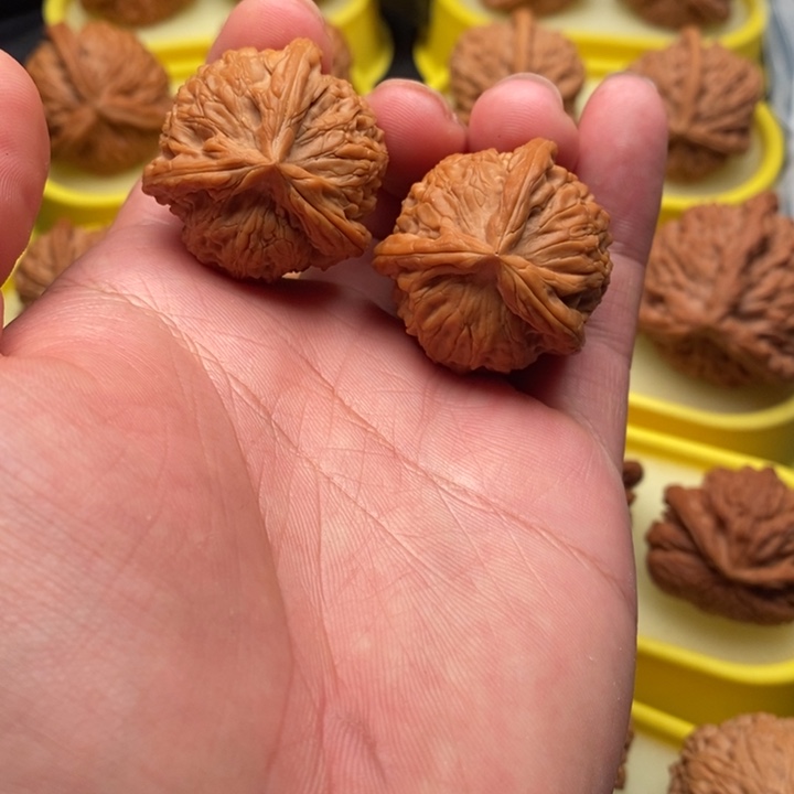把件文玩核桃34龙胆