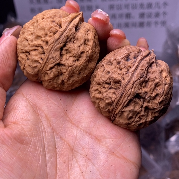 核桃云南野生铁核桃147号42mm