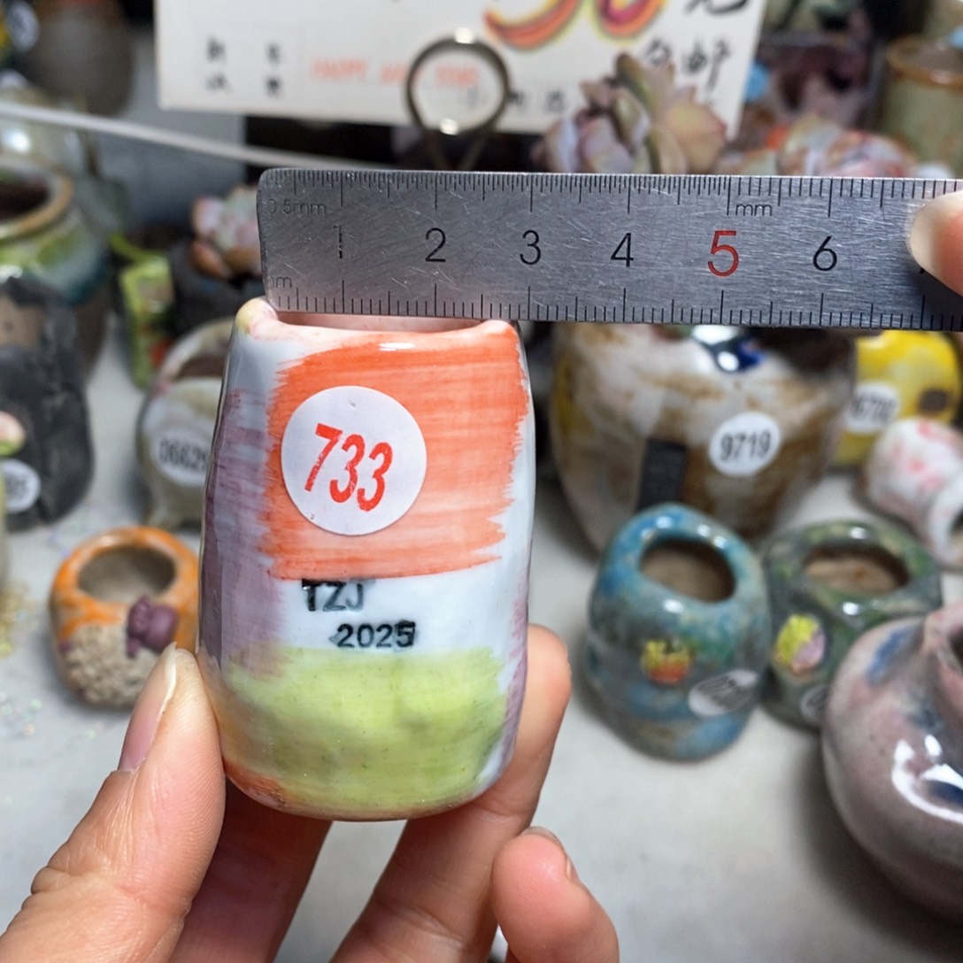 元旦花盆，不退不换的，原价28元